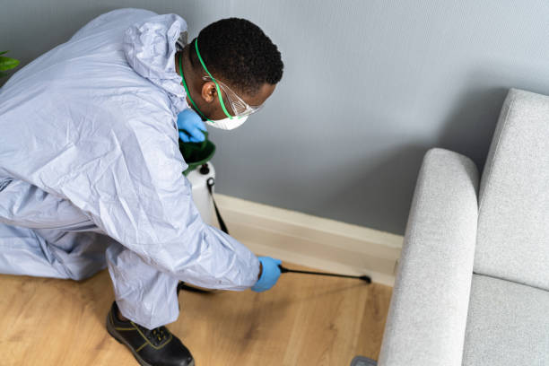 Best Real Estate Pest Inspections  in Lake Junaluska, NC